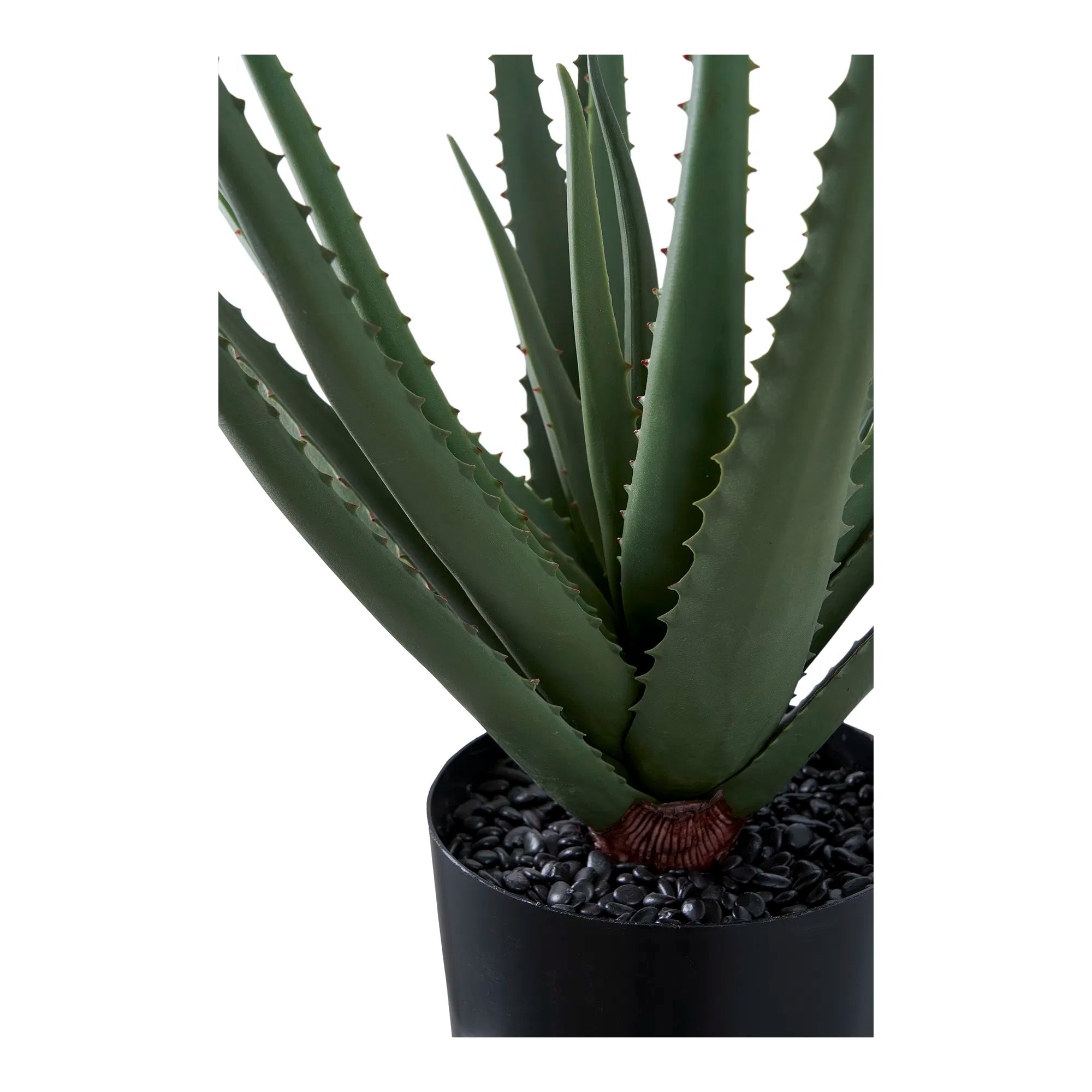 Kunstpflanze Aloe Vera – 51 cm pflegeleichter Klassiker im modernen Look