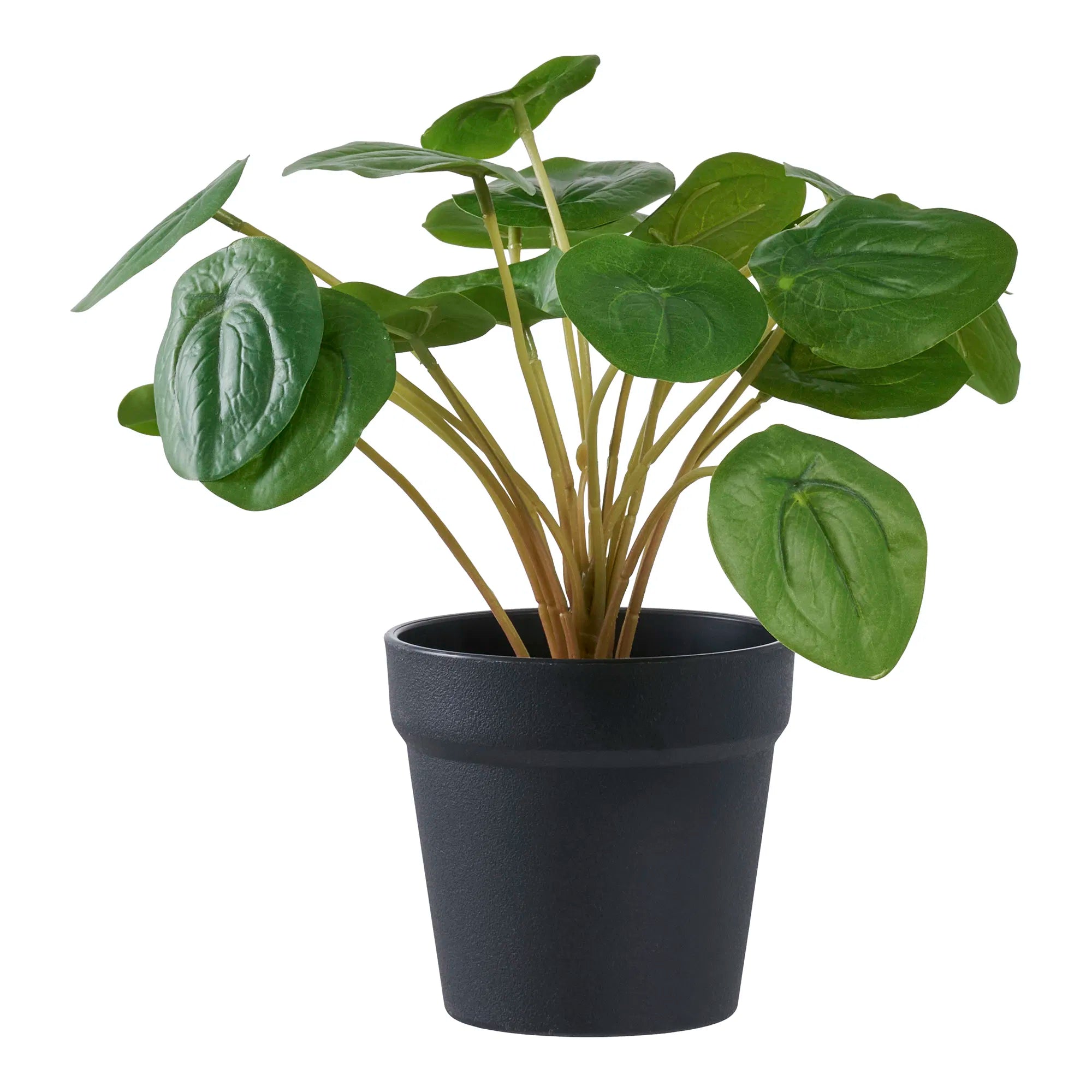 Kunstpflanze Pelia – 28 cm dekorative Frische im Miniformat
